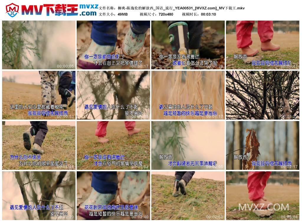 柳爽-陈逸伦的解放西_国语_流行_YEA00531